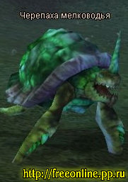 Черепаха мелководья