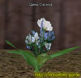 цветок Цинь Сюэхуа
